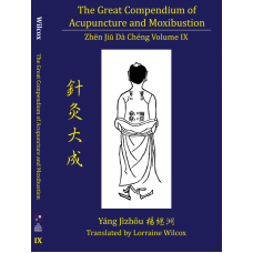 Great Compendium of Acupuncture and Moxibustion Volume IX 