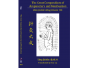 Great Compendium of Acupuncture and Moxibustion Volume VIII